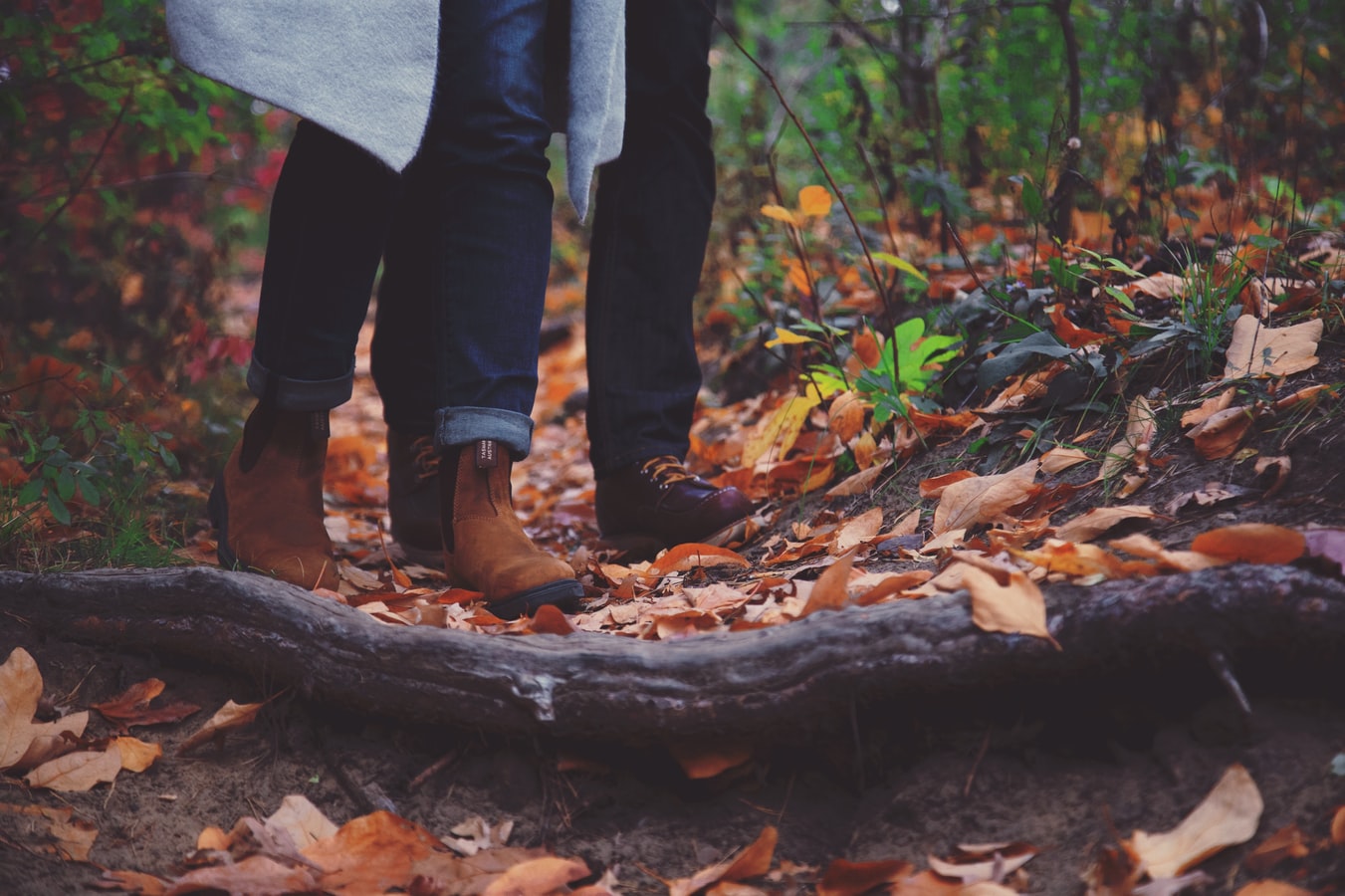 Outdoors in Autumn