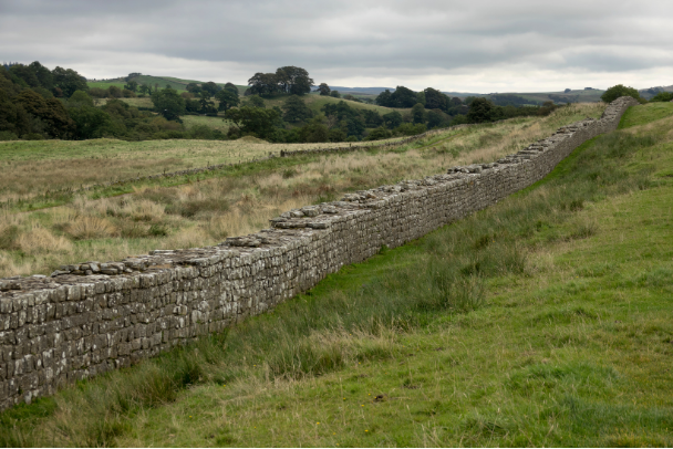 Fields and Hadrian's wall