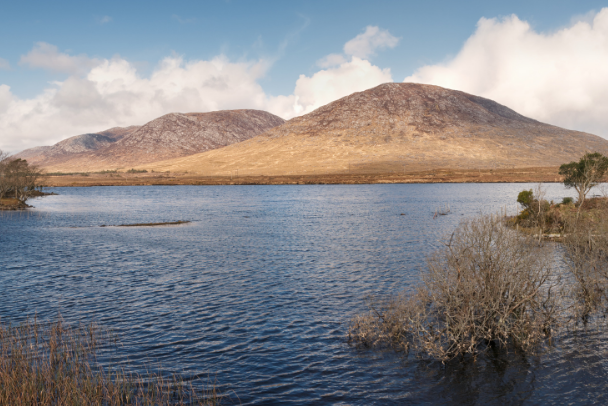 Broomlee Lough