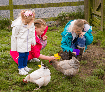 Animal Petting Farm