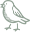 bird icon