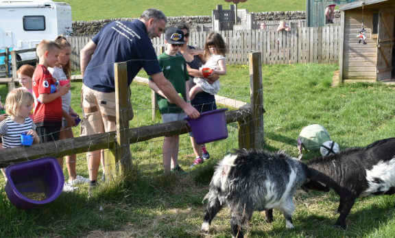 Animal Petting Farm